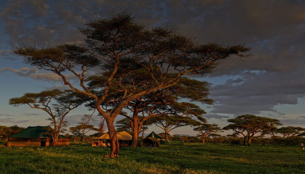 Tanzania, Serengeti National Park