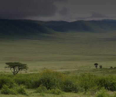 Crater Ngorongoro