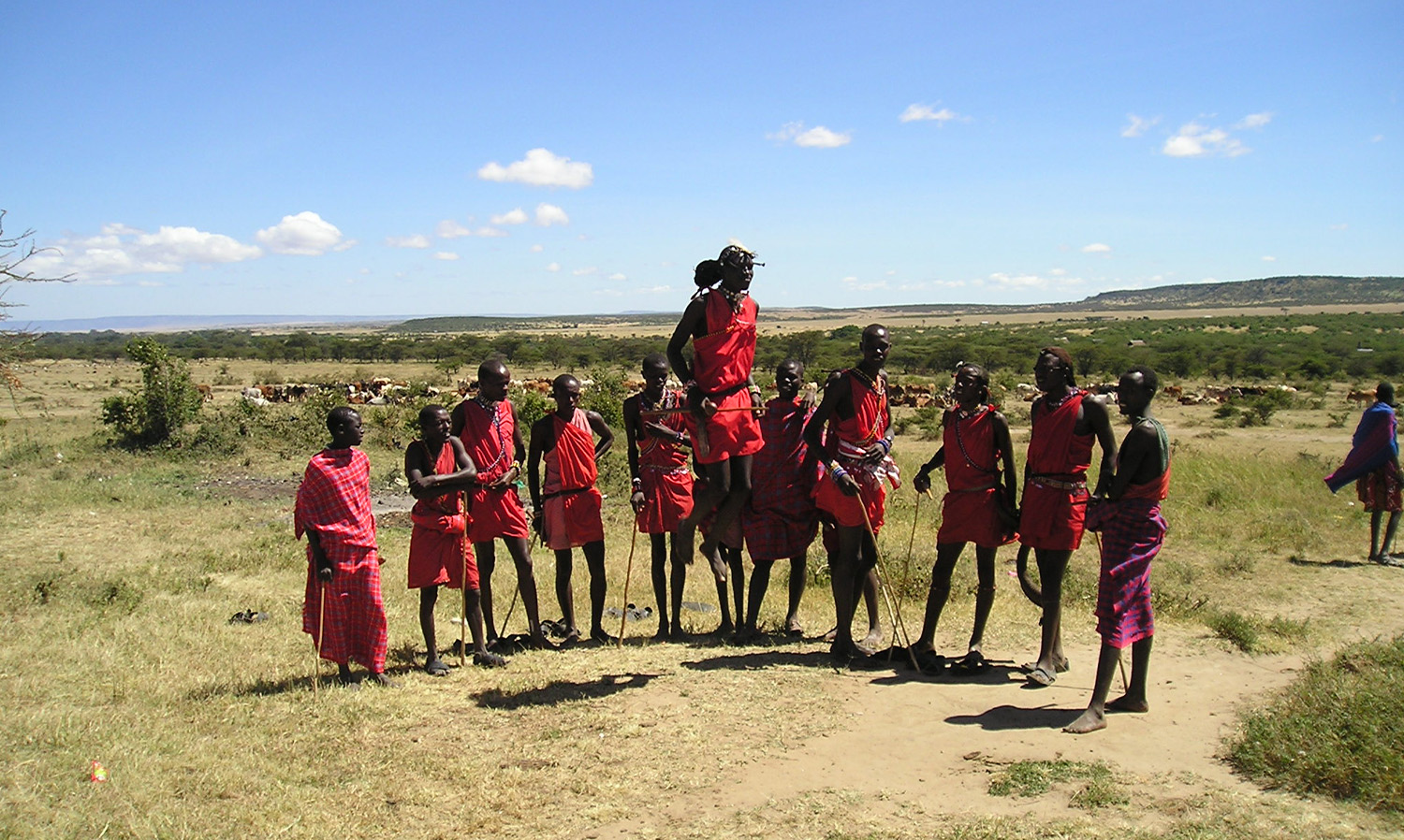 Maasai herdsmen