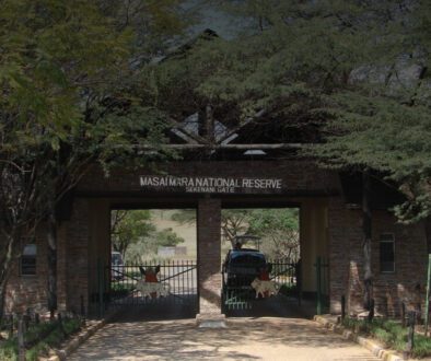 Masai Mara gate