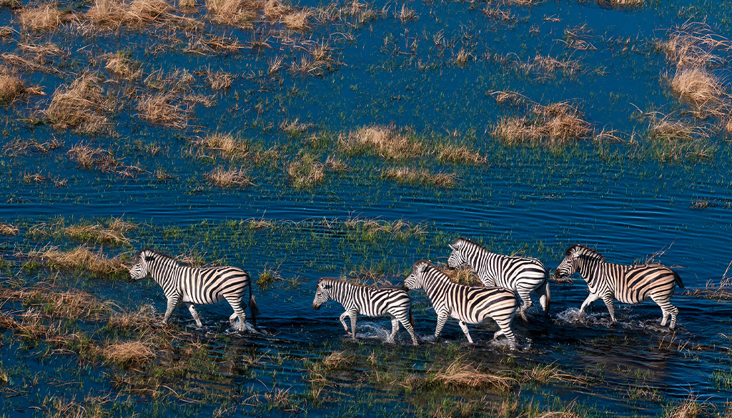 most beautiful African safari