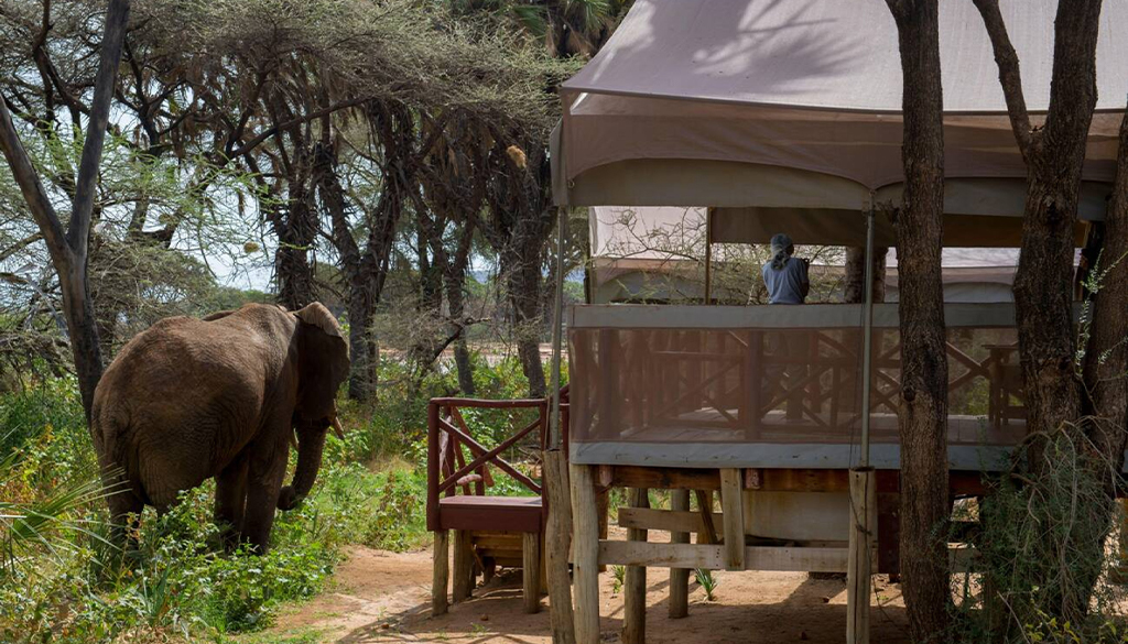 accommodation in Samburu
