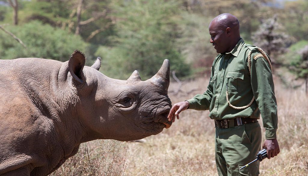 Lewa Conservancy