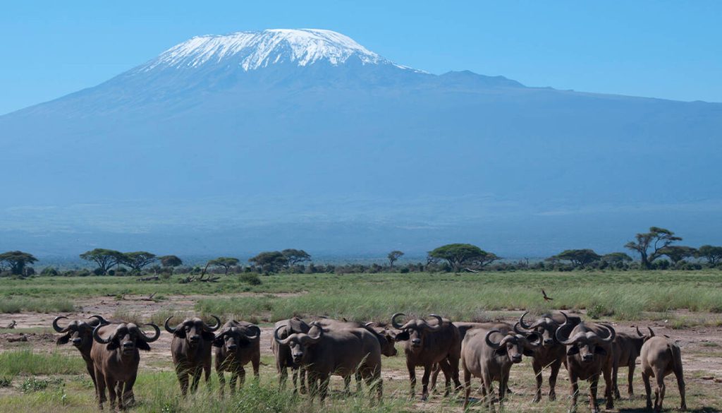 accommodation in Amboseli