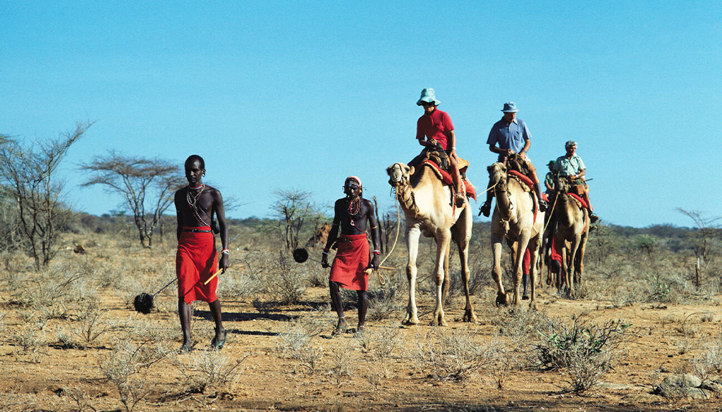 Camel trekking - Samburu