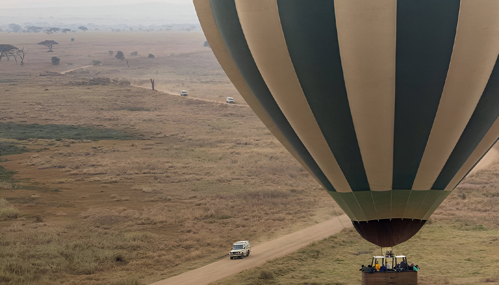 Balloon Safari
