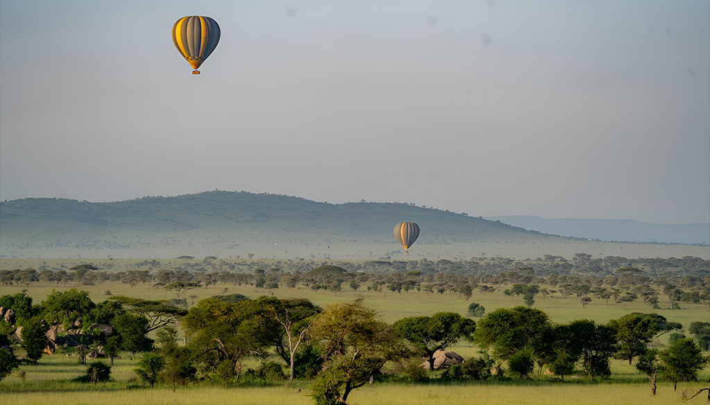 most beautiful African safari