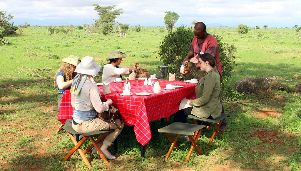African safari