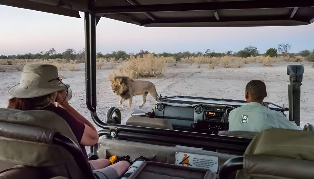 African safari