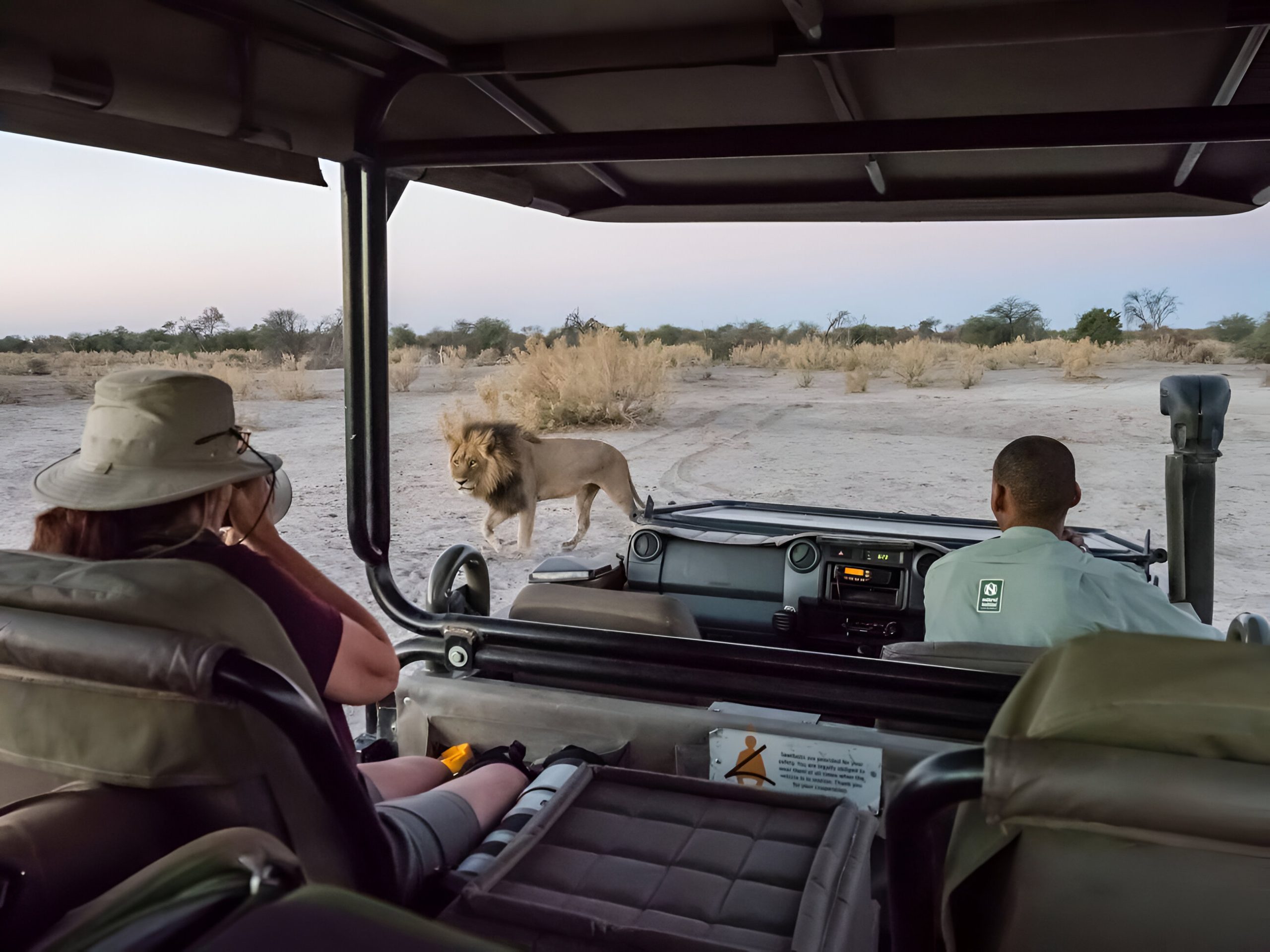 African safari