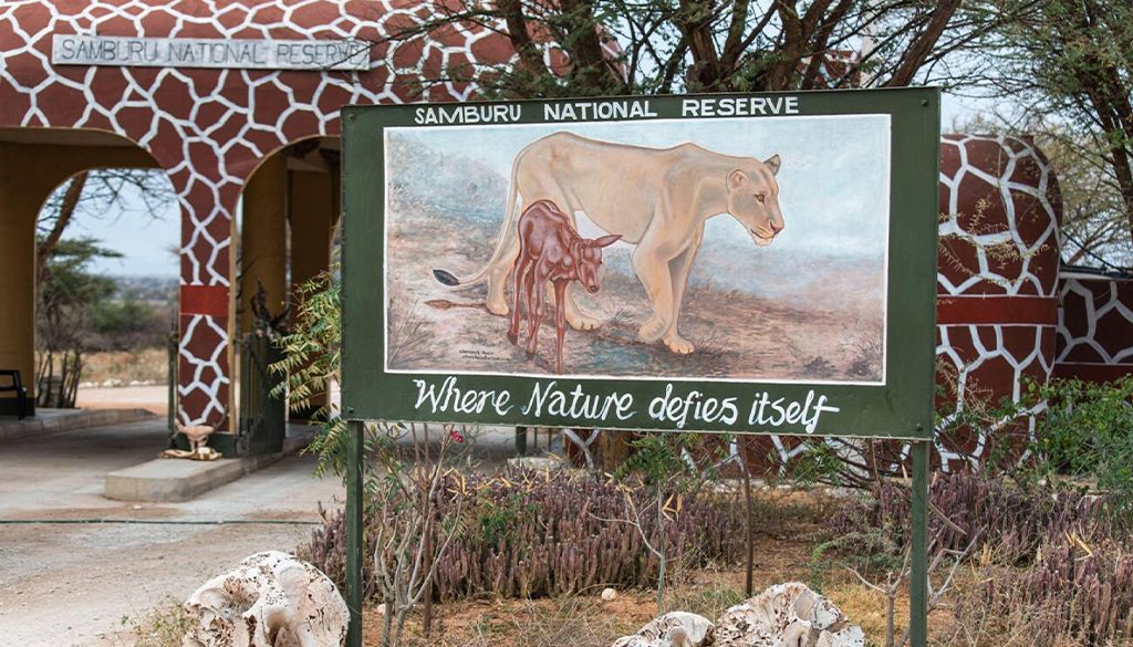 Samburu safari price