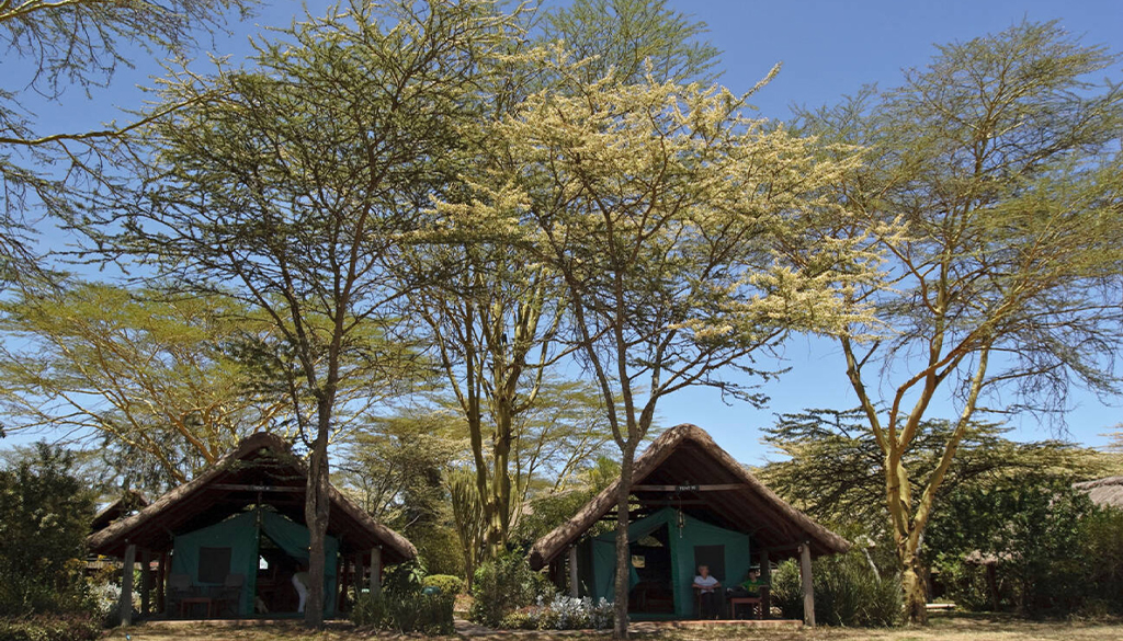 accommodation in Ol Pejeta