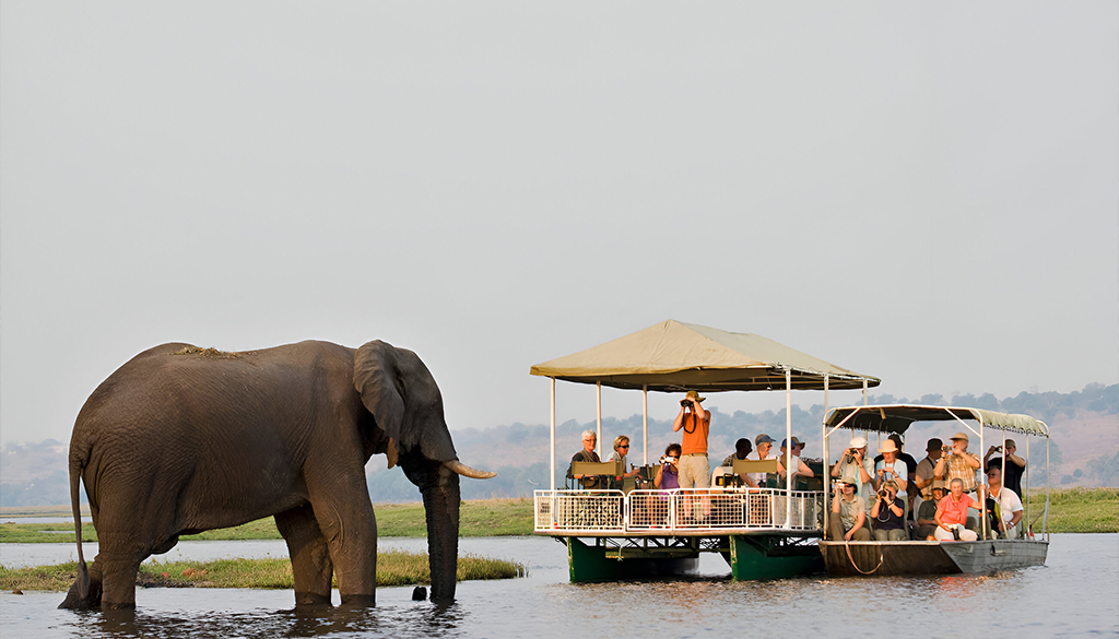 most beautiful African safari