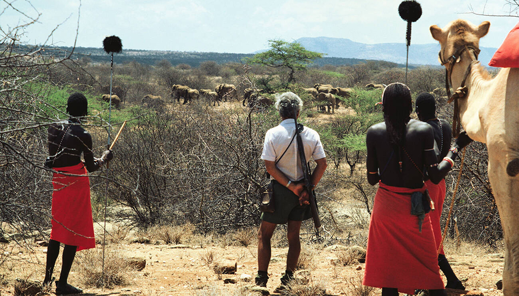 Camel trekking - Samburu