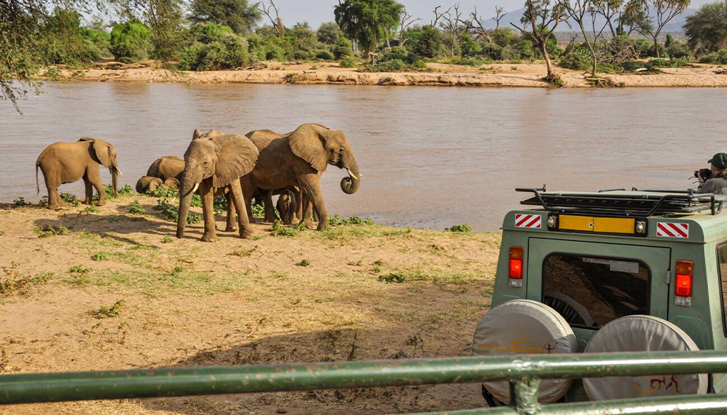 Samburu Safari cost