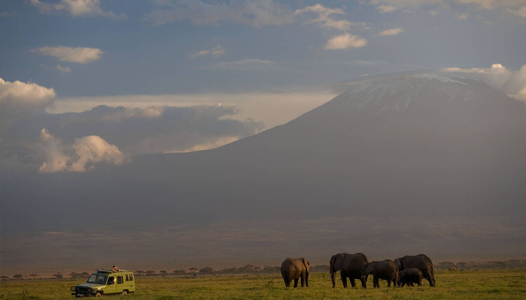 Best national parks East Africa