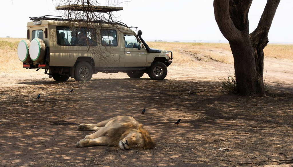 how long is a game drive in Kenya