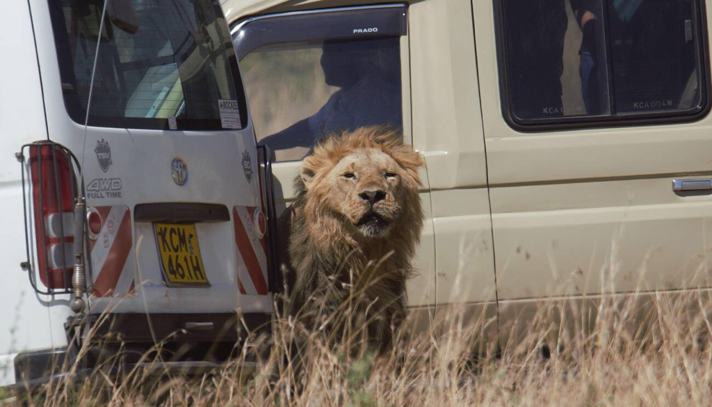 how long is a game drive in Kenya
