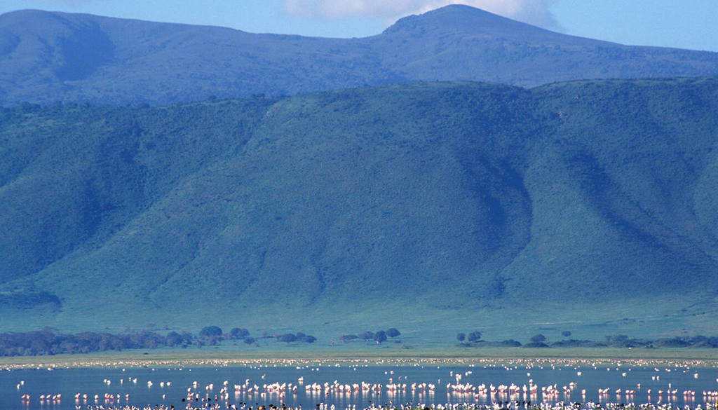 Best national parks East Africa