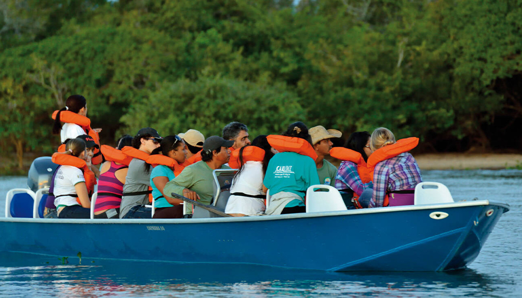 Private vs group safaris in East Africa
