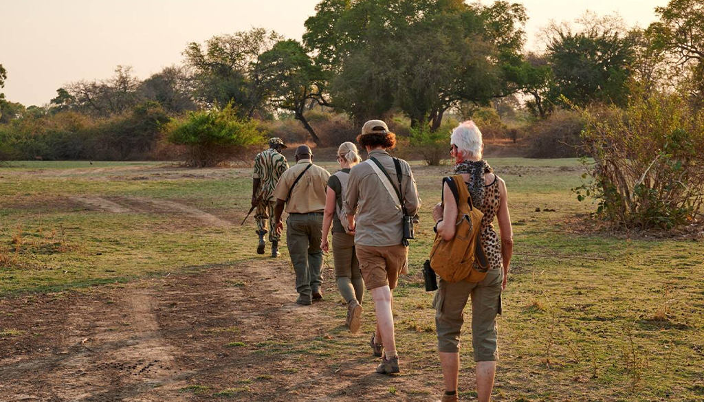 Private vs group safaris in East Africa