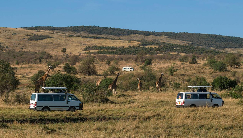 Masai Mara fly-in vs road safari.