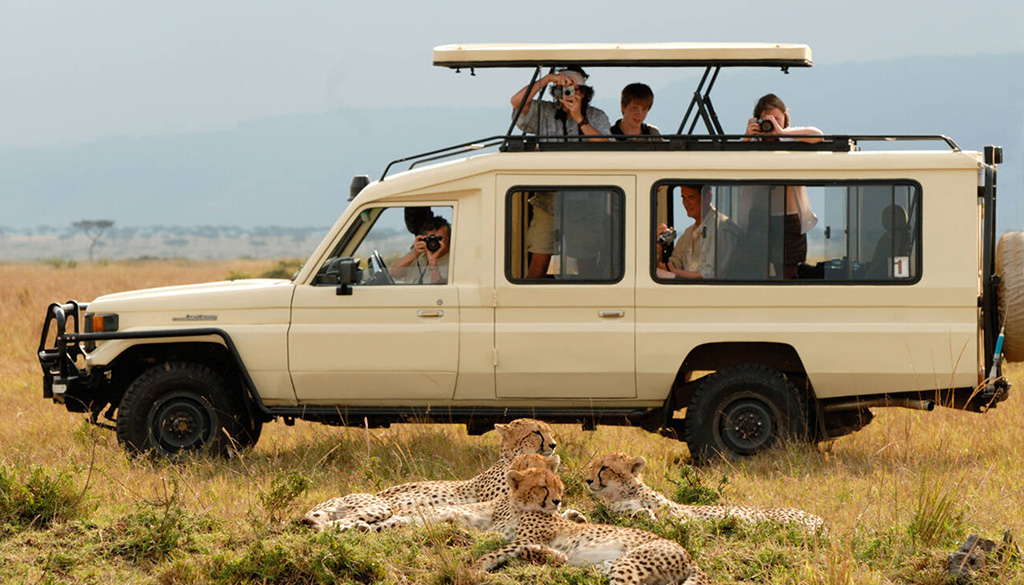 Masai Mara fly in safari vs road safari