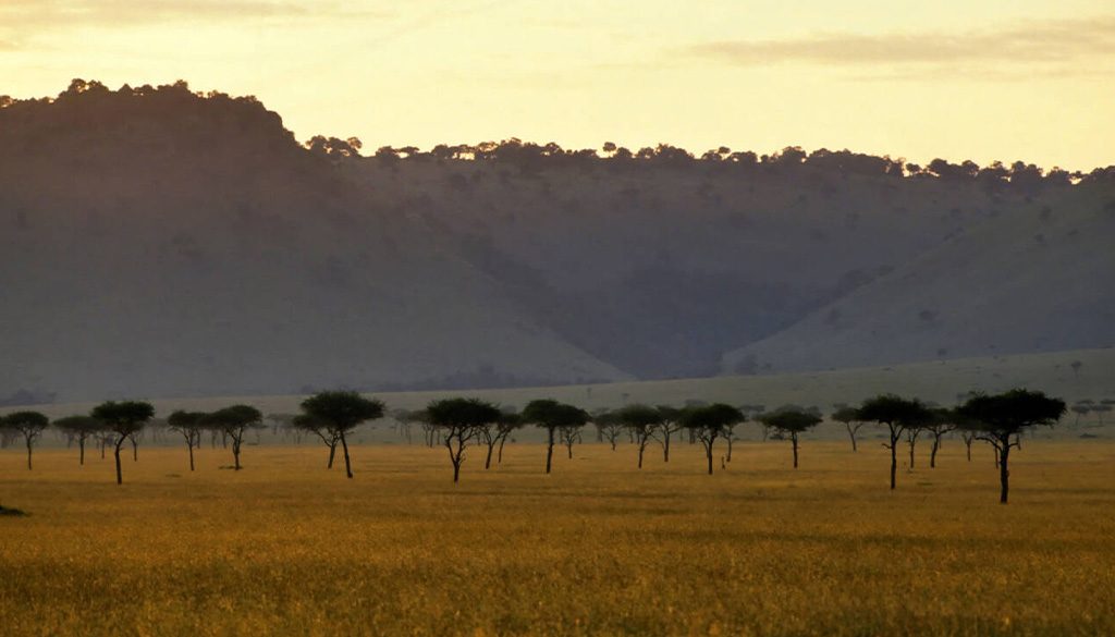 Masai mara landscape