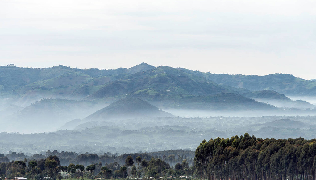 best time to visit Volcanoes National Park