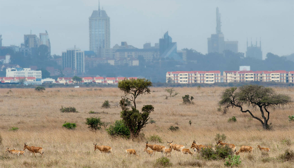 is kenya safe