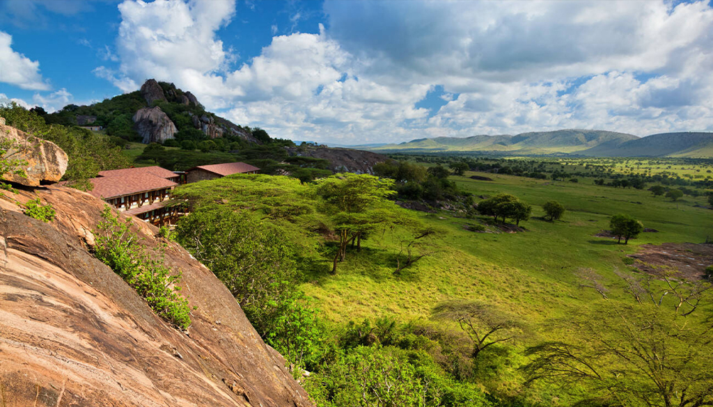 best time for safari