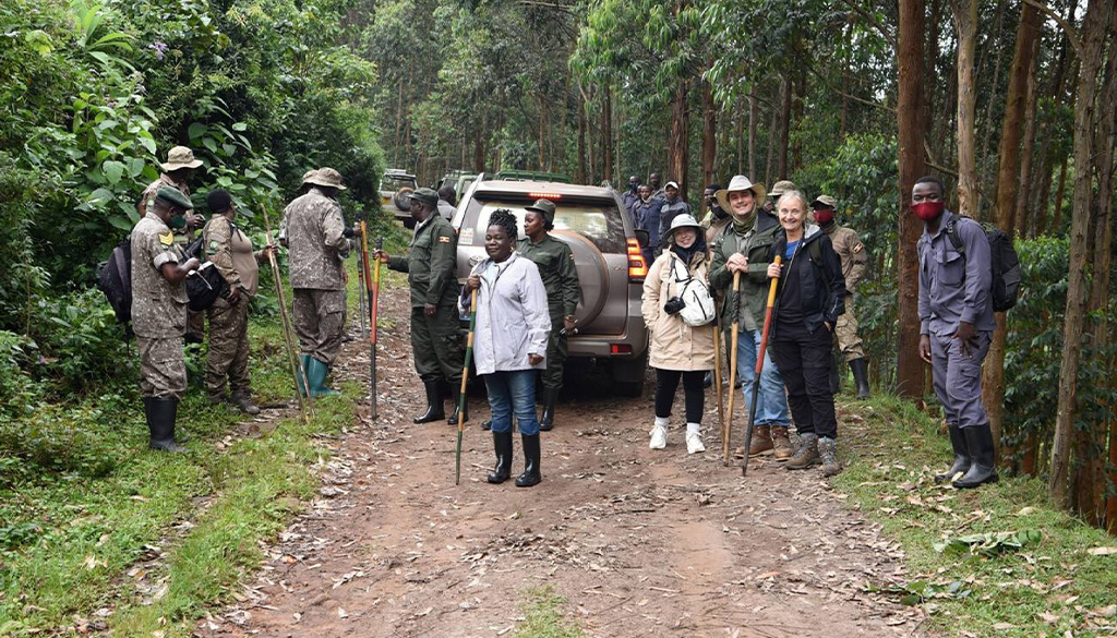 What to pack for gorilla trekking in Rwanda