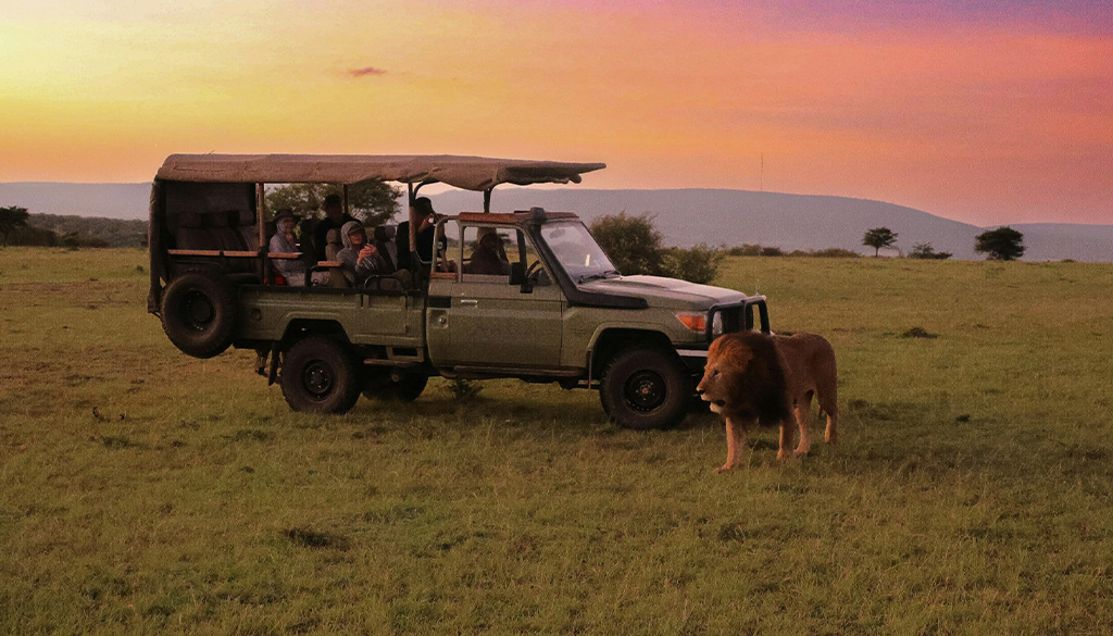 Affordable Luxury Safari in Africa