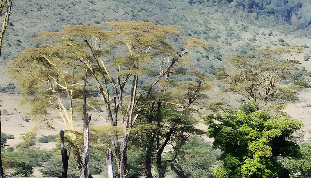 hidden wonders of ngorongoro crater